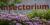 Vivaces au Jardin des pollinisateurs de l'Insectarium