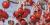 Malus 'Sugar Tyme'