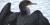 Double-crested Cormorant (Phalacrocorax auritus).