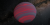 Discovery of dozens of new starless “planets”