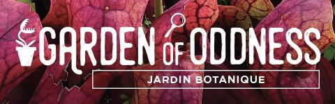 Garden of Oddness - Mobile