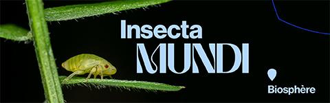 Frédéric Lavoie. Insecta Mundi - Mobile
