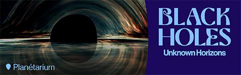 Black Holes: Unknown Horizons