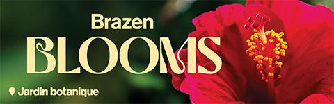 Brazen blooms - Mobile