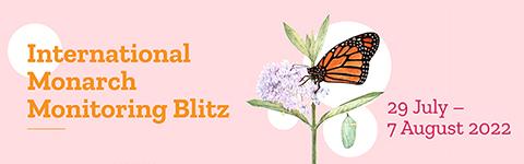 International Monarch Monitoring Blitz - mobile