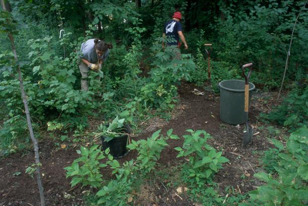 Construction du Jardin des Premières-Nations