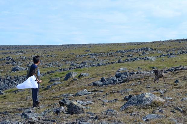 Summer 2016, Pingaluit National Park