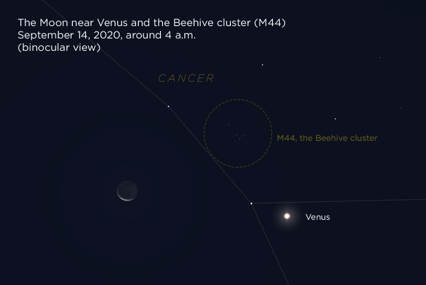 20200914 Moon Venus M44