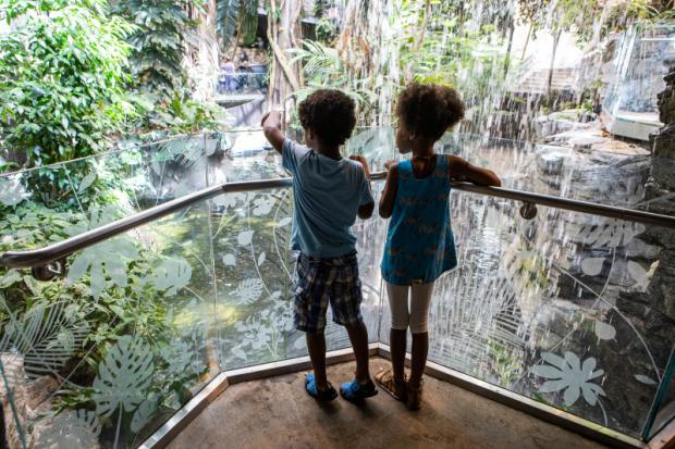 Two students on an Amazonian expedition at the Biodôme.