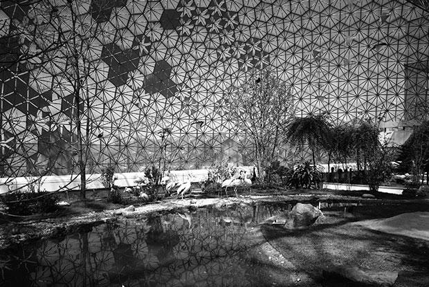 Salles d'exposition de la Biosphère en mai 1968 