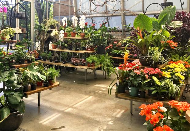 Jardin botanique gift shop