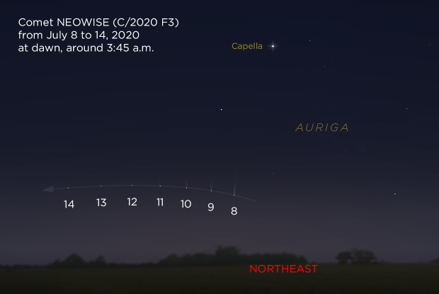 Comet NEOWISE at dawn from July 8 to 14, 2020