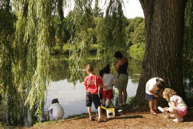 Camp de jour en écologie