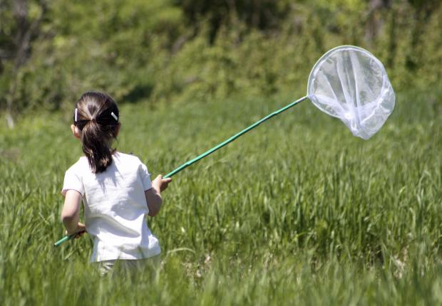 Young girl hunting butterflies