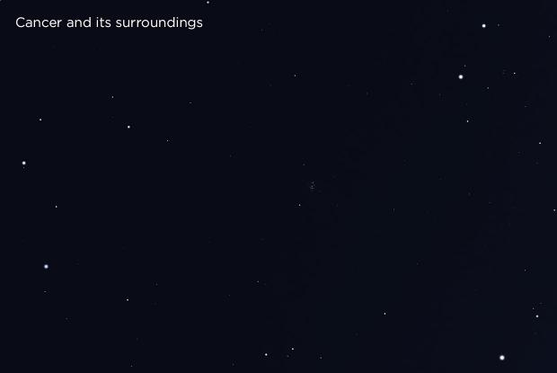 Cancer and its surroundings (base)