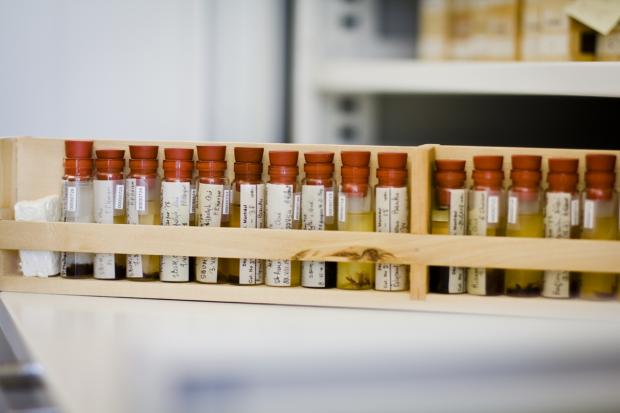 Insects preserved in alcohol