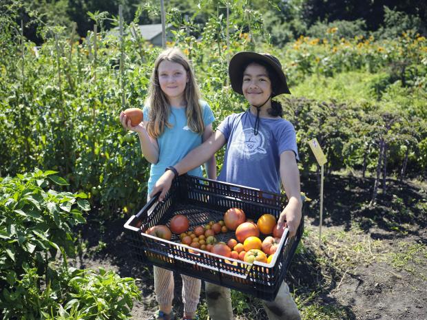 Youth Gardens 2022