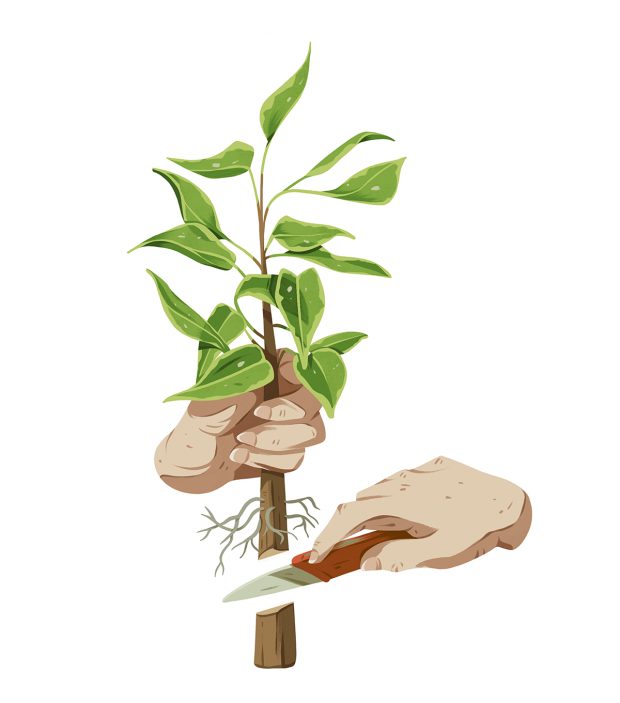 Harvesting
