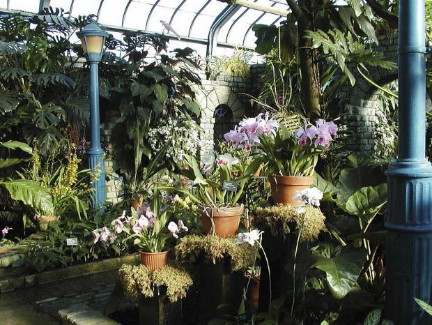 Orchids and Aroids Greenhouse