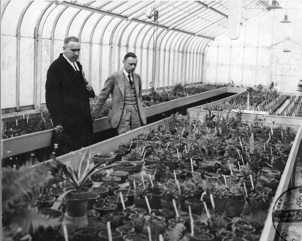 Henry Teuscher with Brother Marie-Victorin in Greenhouse A-1, 1936.