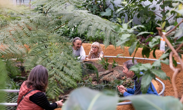 Some visitors are observing insect behavior in the Insectarium's Great Vivarium.