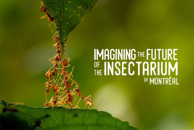 Imagining the Insectarium 2021–2025