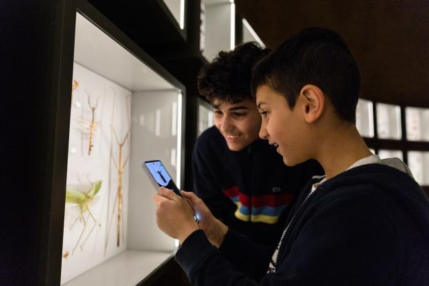 Two youth consult the mobile application to identify insects.