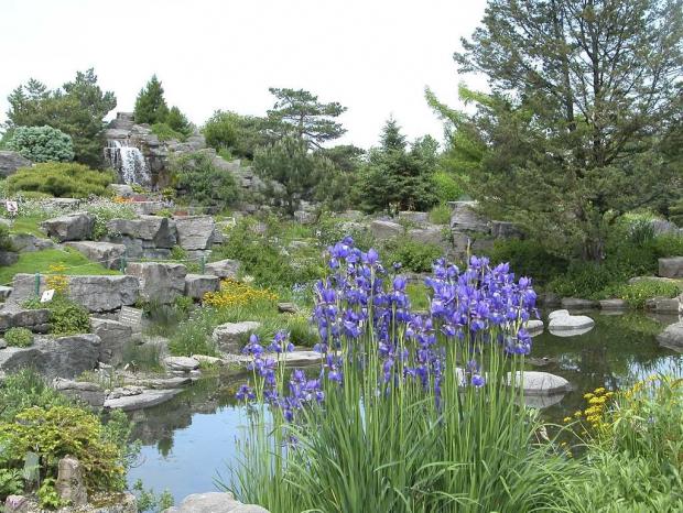 Jardin alpin