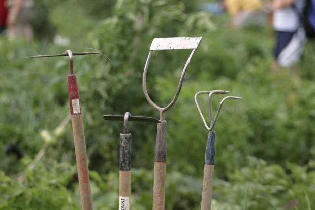 A collection of gardening tools at the Youth Gardens.