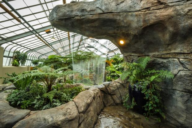 General view of the Ferns Greenhouse