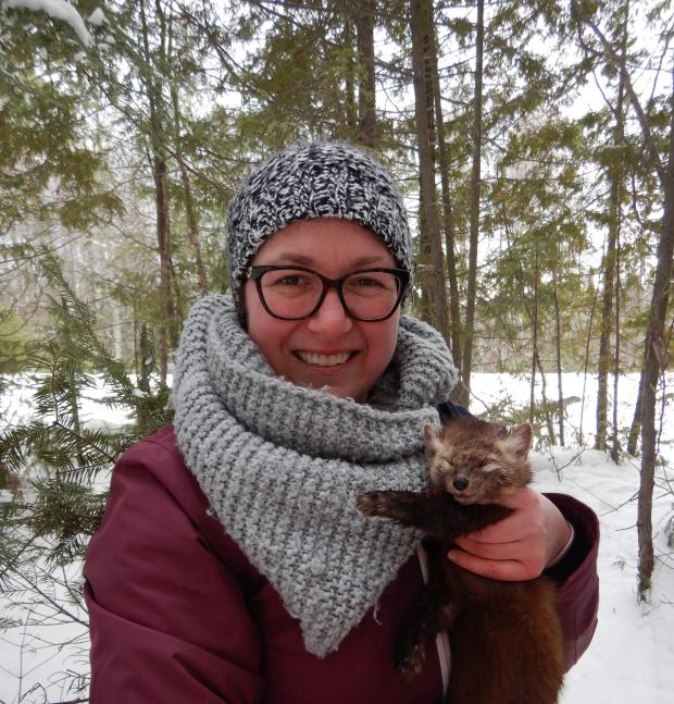 Karine Béland holds a marten in her arms when it wakes up.
