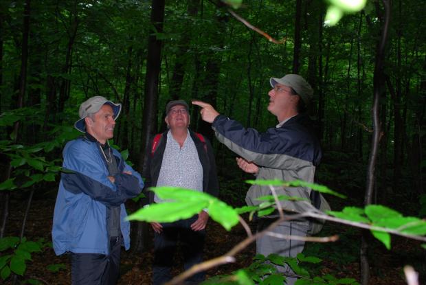 Excursion à la réserve écologique du Boisé-des-Muir, Huntingdon. De gauche à droite: Michel Labrecque, le botaniste français Francis Hallé et Jacques Brisson de l’IRBV.