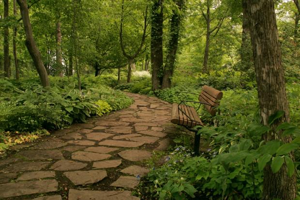 Vue générale du Jardin d'ombre
