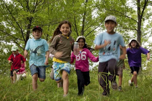 La course aux arbres