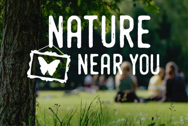 Nature near you