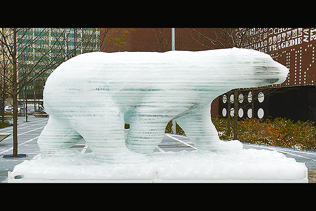 Polar Bear on Thin Ice