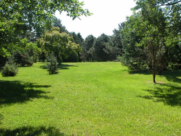 Pelouse - Arboretum