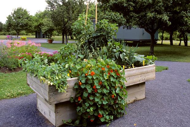 Potager surélevé