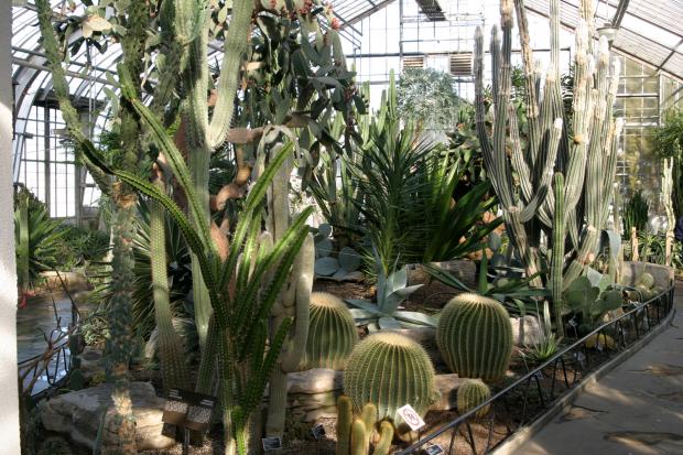Arid Regions Conservatory.