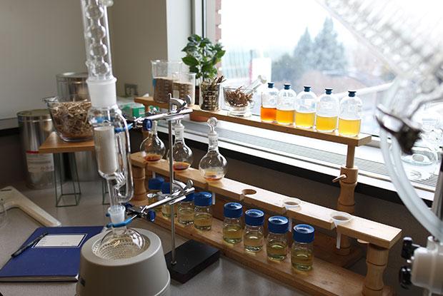 lab equipment with flasks and tubes