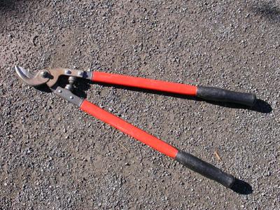 Long-handled pruner