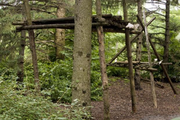 Hunting blind and drying rack
