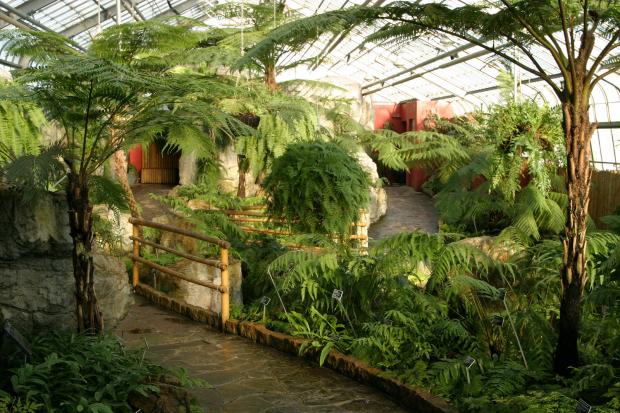 Ferns Conservatory.