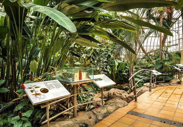 Jardin botanique - Molson Greenhouse