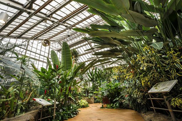 Jardin botanique - Serre Molson
