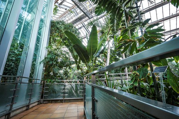 Jardin botanique - Serre Molson