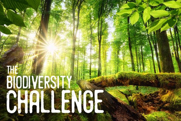 The Biodiversity Challenge
