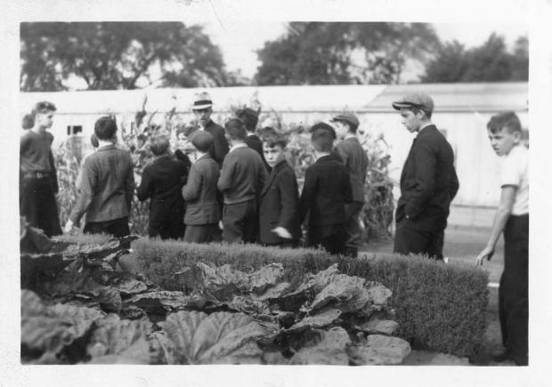 Jardin des plantes économiques, 1937
