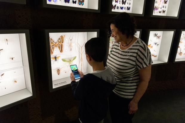 In the Insectarium Dome