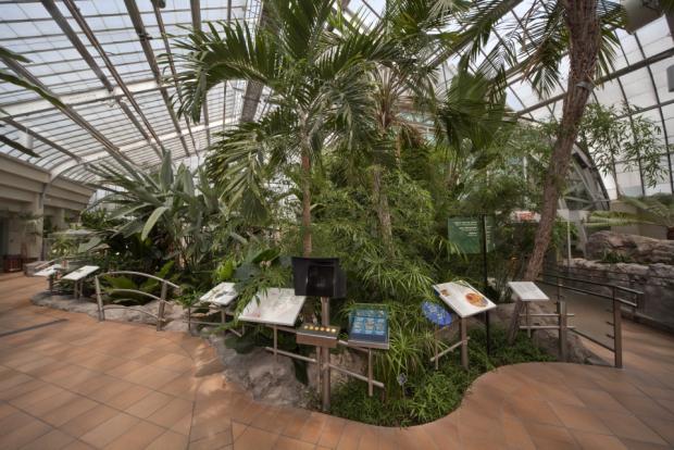 The Molson Hospitality Greenhouse presents to visitors basic concepts in plant biology.